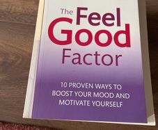 Patrick Holford The feel good Factor book