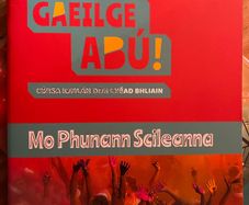 Gaeilge Abu 1, workbook