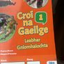 Croi na gaeilge 1 JC Irish book Image 4