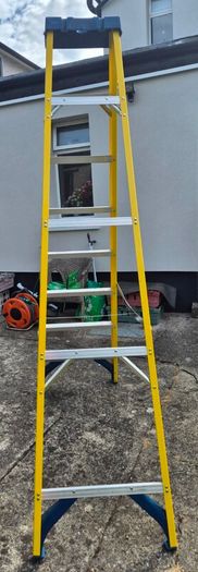 Werner 8 thread Fibreglass Ladder