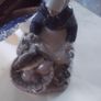 aroyal copenhagan fish lady figurine Image 5