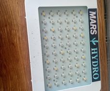 Brand new led lights