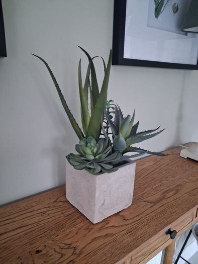 Faux Potted Cacti and Succulents