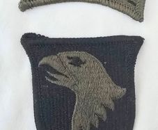 US Army 101st Airborne Shoulder Patch