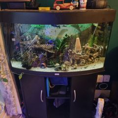 160 litre fish tank with fish