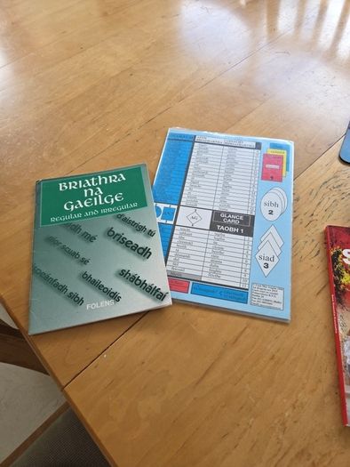 Briathra na gaeilge and grammar card