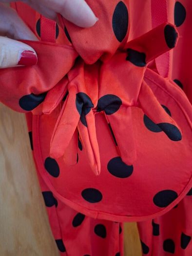 Miraculous Ladybug Costume