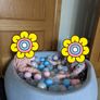Ball pool Image 2