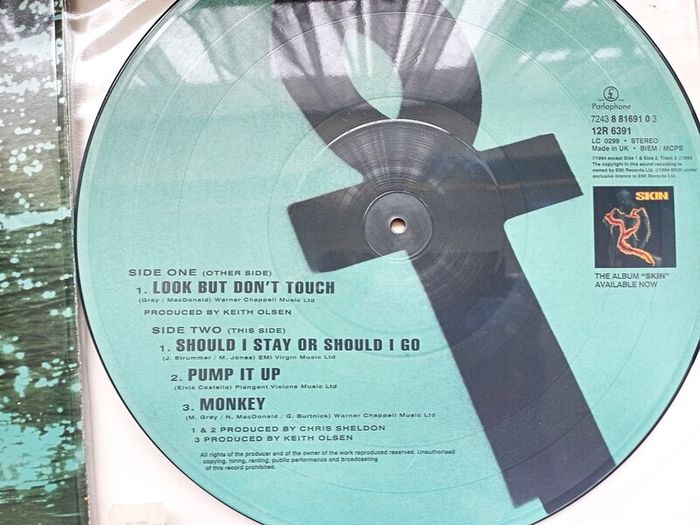 Skin  Look But Dont Touch 12,, Pic Disc