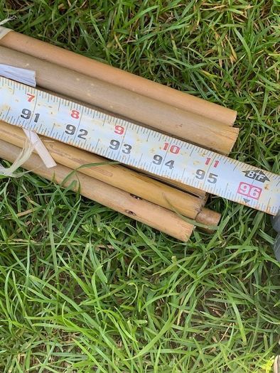 8 foot Garden plant Bamboo poles