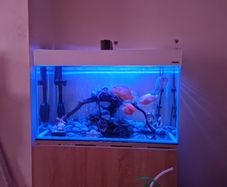 aquarium with all accessories