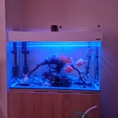 aquarium with all accessories