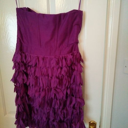 Reiss strapless feather dress