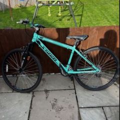 Girls 26 Inch Bicycle