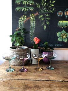 champagne glass coups Italian handmade