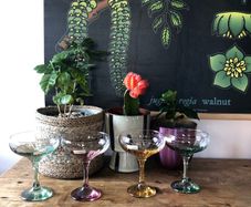champagne glass coups Italian handmade