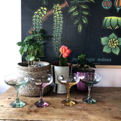 champagne glass coups Italian handmade