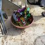 compost and extra large pot Image 2