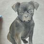pet painting Image 2