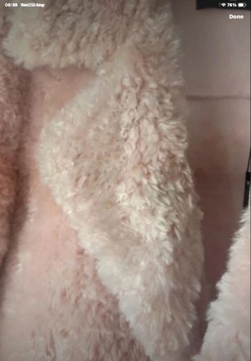 jacket Bnwt pink fluffy teddy style baloot brand size small double breasted jacket