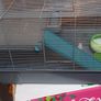 Hamster Cage Image 3