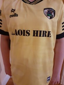 Laois GAA Training Jersey