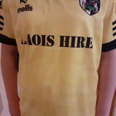 Laois GAA Training Jersey