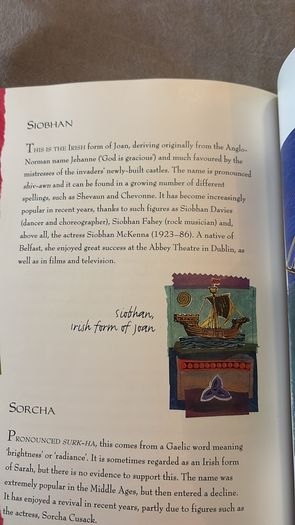 Brand New Vintage Irish Names Book