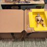 Star Wars Dewback and Sandtrooper Pack Image 4