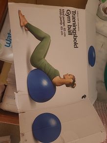 Pregnancy/Gym Ball
