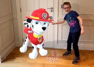 Paw Patrol Augmented Reality Stickers by Holo Toyz