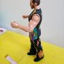 WWE Wrestlers Wrestler Action Figure Image 4