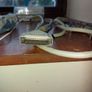 St Audio Hoontech Sta Scad-500aadcd Adc & Dac 2000 Adc&dac2000 Image 6