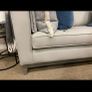 Bespoke Beautiful sofa fromSarah Louise interiors Brand new Reduced Image 2