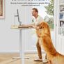 Electric Standing Desk 120x60cm Image 6