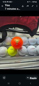 golf clubs / bag