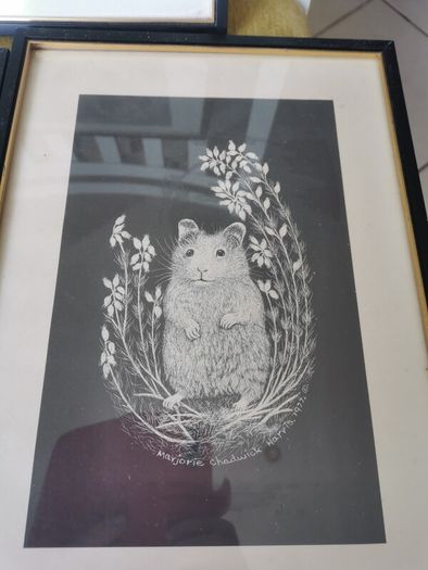 Scratch board Artwork