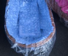 Moses baskets