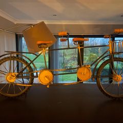 Bicycle Model