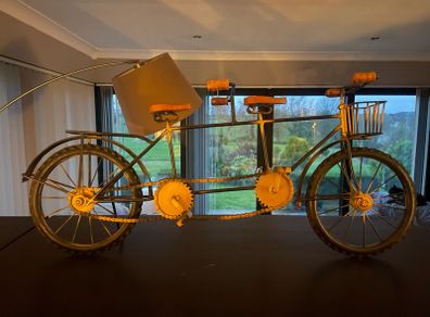 Bicycle Model
