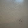 Solid Pine wood dresser Image 3