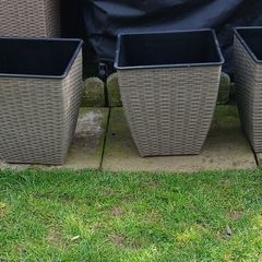 wicker plant pots