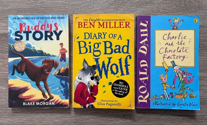 Buddy's Story, Diary of a Big Bad Wolf & Roald Dahl's Charlie and the Chocolate Factory - Children's Books