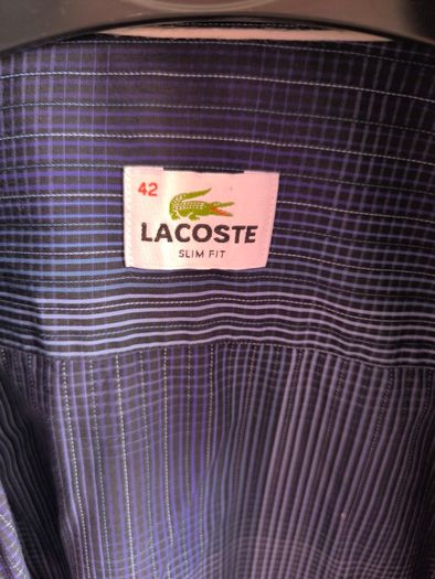 Shirt Lacoste