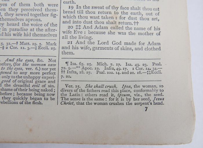 Vintage spine of a Catholic Douay Bible published by James Duffy & Co. Ltd. in Dublin.