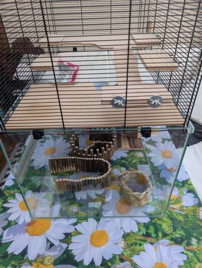 hamster cage