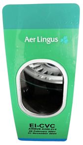 Aer Lingus Airbus A320 Window Panel EI-CVC Aviation Wall Art / Display Piece