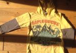 Age 4 Dinosaur Hooded Top