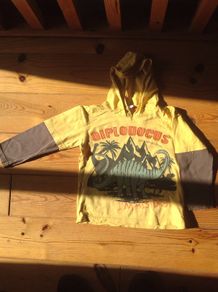 Age 4 Dinosaur Hooded Top