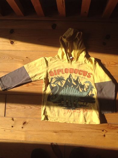 Age 4 Dinosaur Hooded Top